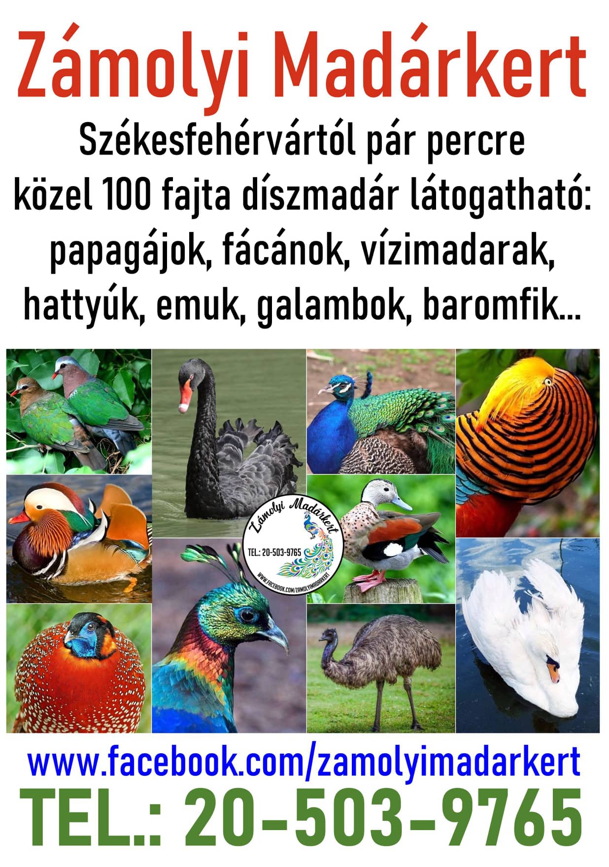 Zámolyi Madárpark